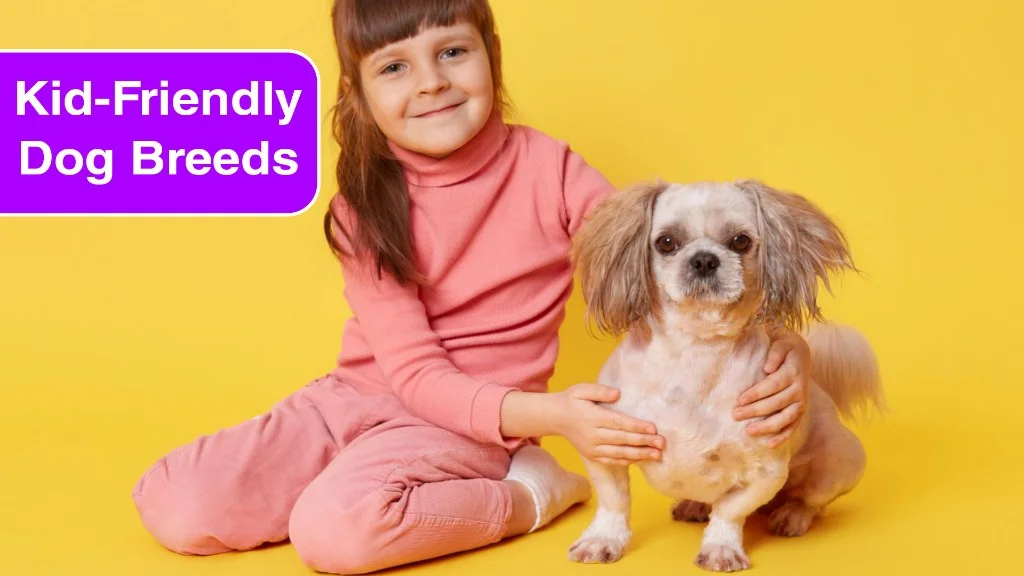 7 Kid-Friendly Small Dog Breeds for Your Family