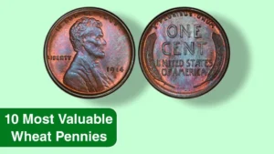 10 Most Valuable Wheat Pennies in Circulation