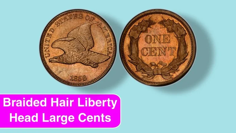 11 Rare Braided Hair Liberty Head Large Cents