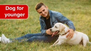 Top 8 Best Dog Breeds for Younger Owners