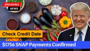 $1756 SNAP Payments Confirmed – How to Get It? Check Credit Date