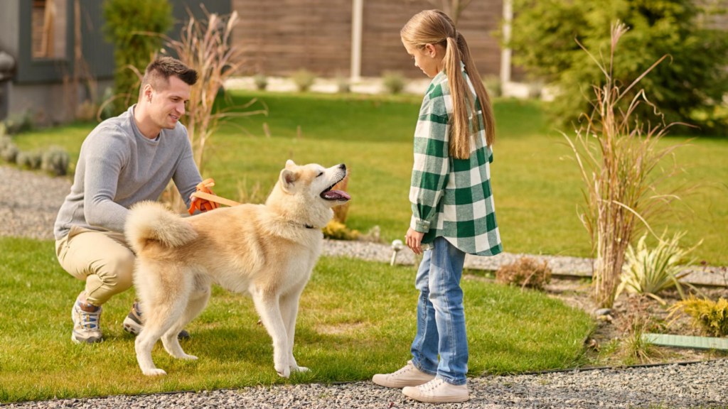 Big Dog Breeds That Are Great for Families