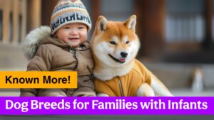 9 Guard Dog Breeds Perfect for Families with Babies