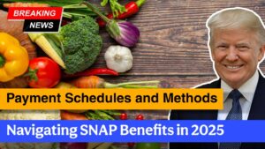 Navigating SNAP Benefits in 2025 - Payment Schedules and Methods