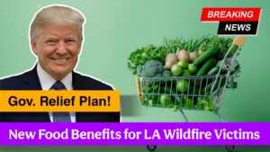 New Food Benefits for LA Wildfire Victims – Gov. Newsom’s Relief Plan