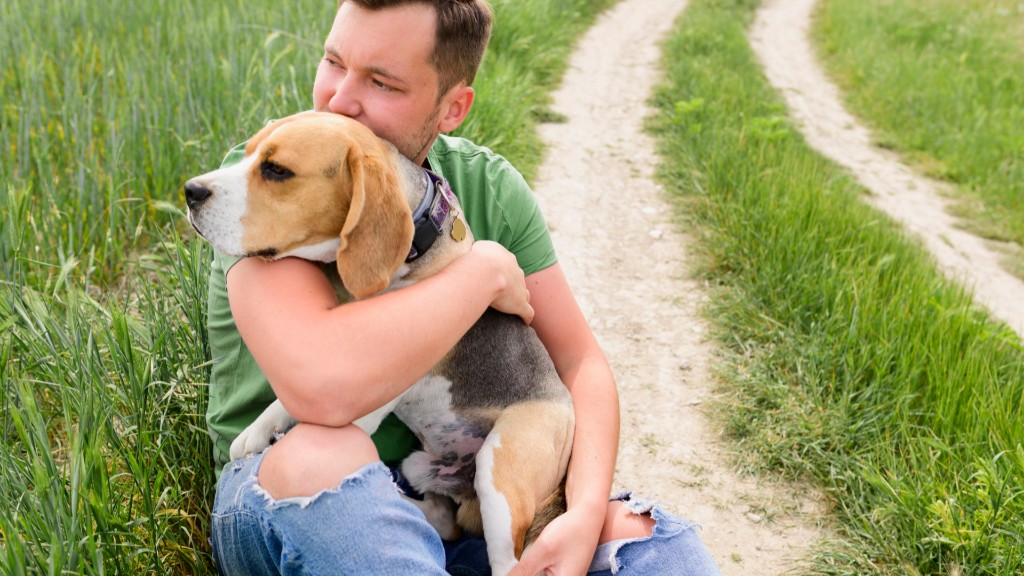7 Super Sensitive Dog Breeds That Wear Their Hearts on Their Paws