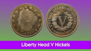21 Liberty Head V Nickels Every Collector Dreams Of 7 21 Liberty Head V Nickels Every Collector Dreams Of