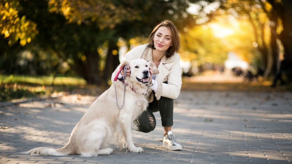 5 Healthiest Dog Breeds That Live Long, Happy Lives