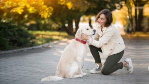 Adaptable Dog Breeds That Fit Into Any Environment