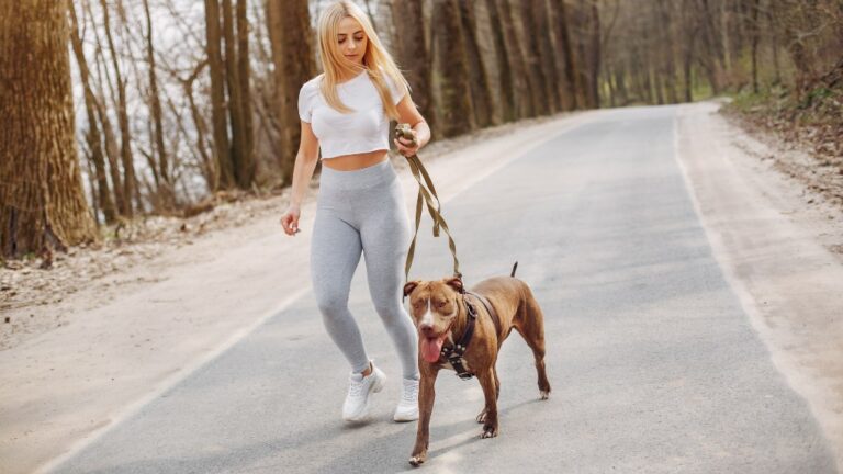 Athletic Mid-Sized Dogs That Live Long Lives