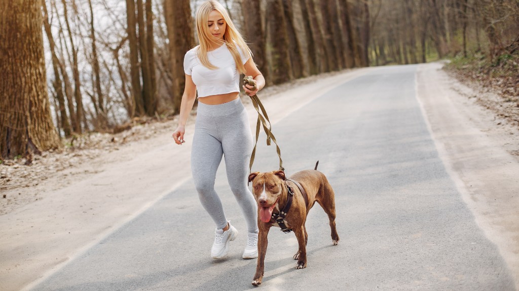 Athletic Mid-Sized Dogs That Live Long Lives