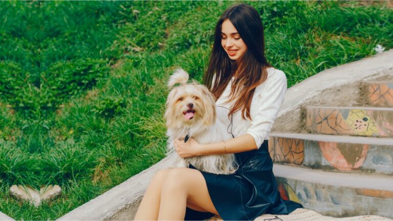 Small but Sweet: 7 Friendly Little Dog Breeds Full of Love