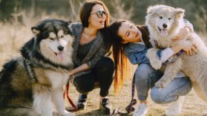 7 Possessive Pups That Want You All to Themselves