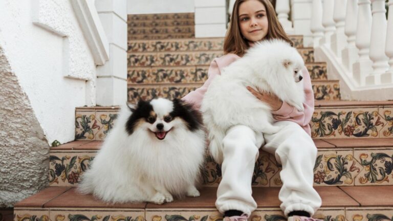 7 Small Watchdog Breeds for Big Home Security