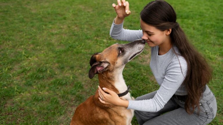 7 Ways Your Dog Talks to You Without Words