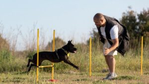7 Highly Intelligent Hunting Dogs That Excel in Action