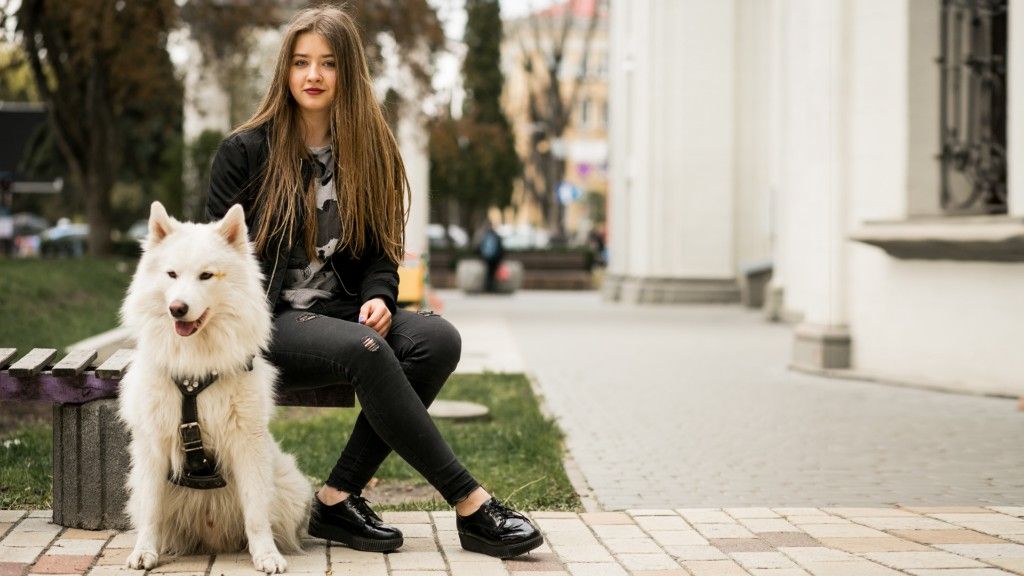 7 Luxury Companion Dog Breeds That Exude Comfort & Class