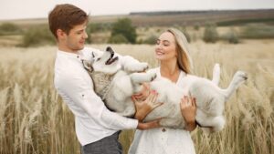 7 People-Loving Dogs That Make the Best Companions