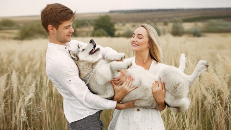 7 People-Loving Dogs That Make the Best Companions