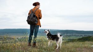 Clever Dog Breeds That Love to Outsmart Their Humans