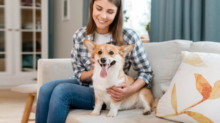 7 Hypoallergenic Small Dog Breeds That Are Cute & Low-Mess