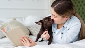 Must-Know Facts Before Getting a French Bulldog