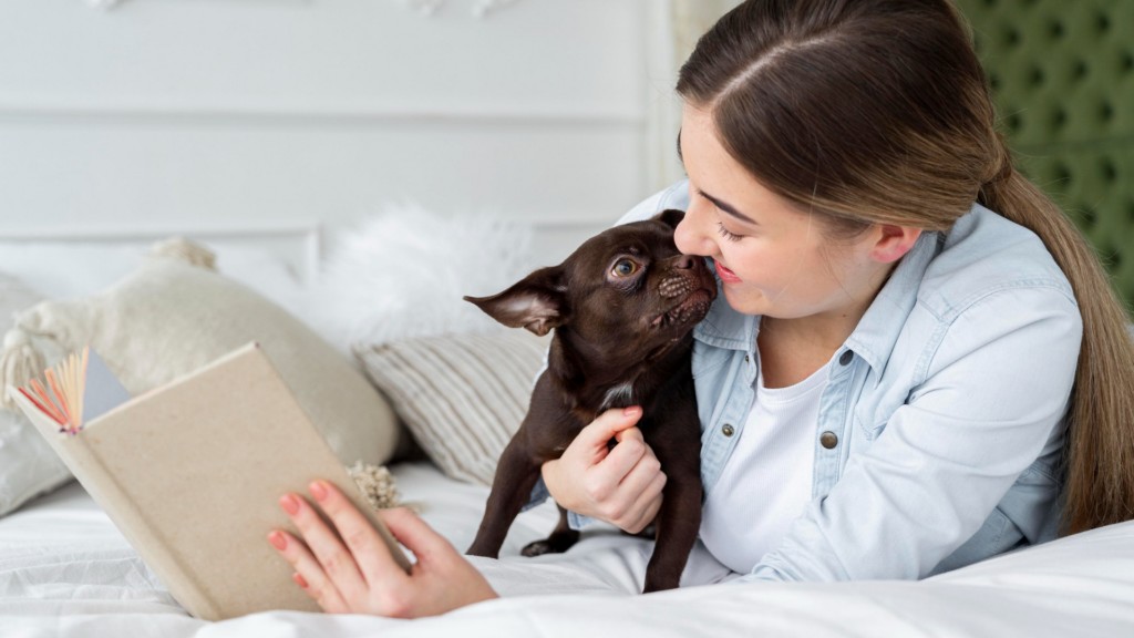 Must-Know Facts Before Getting a French Bulldog