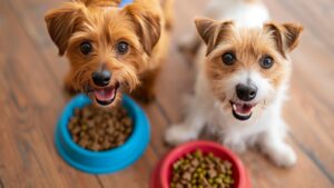 Nutrition Tips for Keeping Small Dog Breeds Healthy