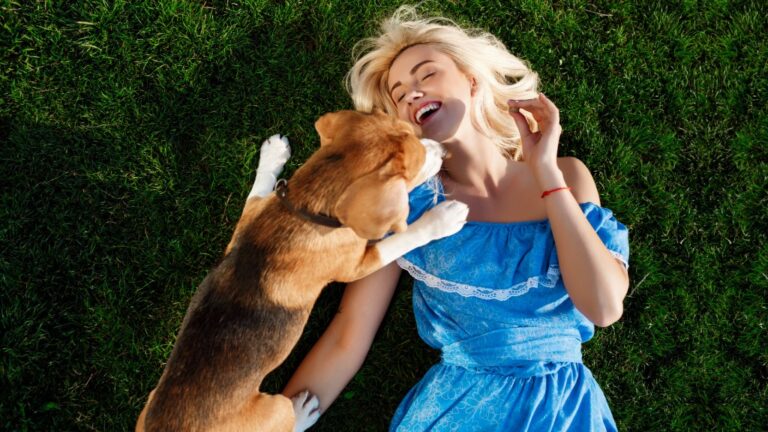 Fun-Loving Dog Breeds for Playful Owners