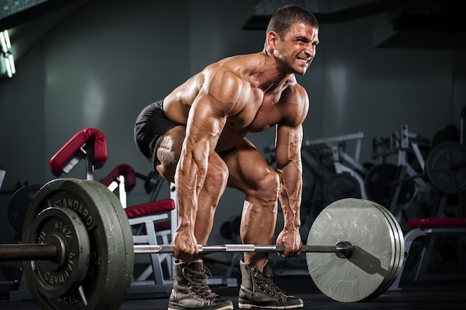 7 Trainer-Approved Workouts to Build Muscle Fast 6 Deadlifts