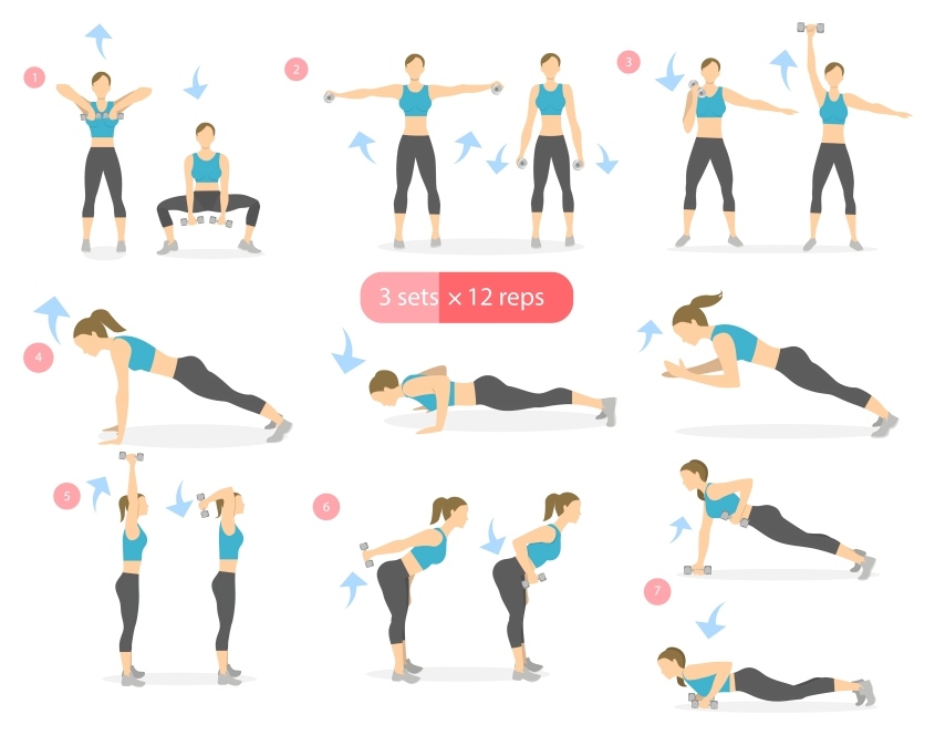 7 Trainer-Approved Workouts to Build Muscle Fast 8 Full-Body Circuit