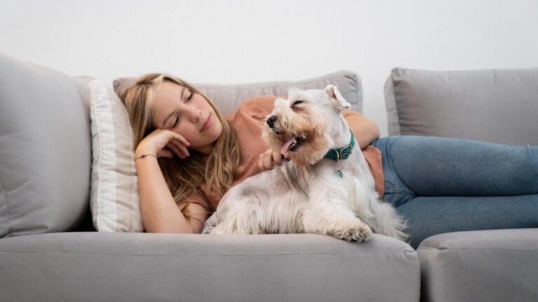 Low-Energy Puppies: 7 Breeds That Love to Lounge