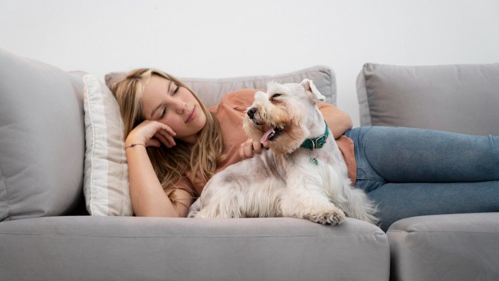 Low-Energy Puppies: 7 Breeds That Love to Lounge