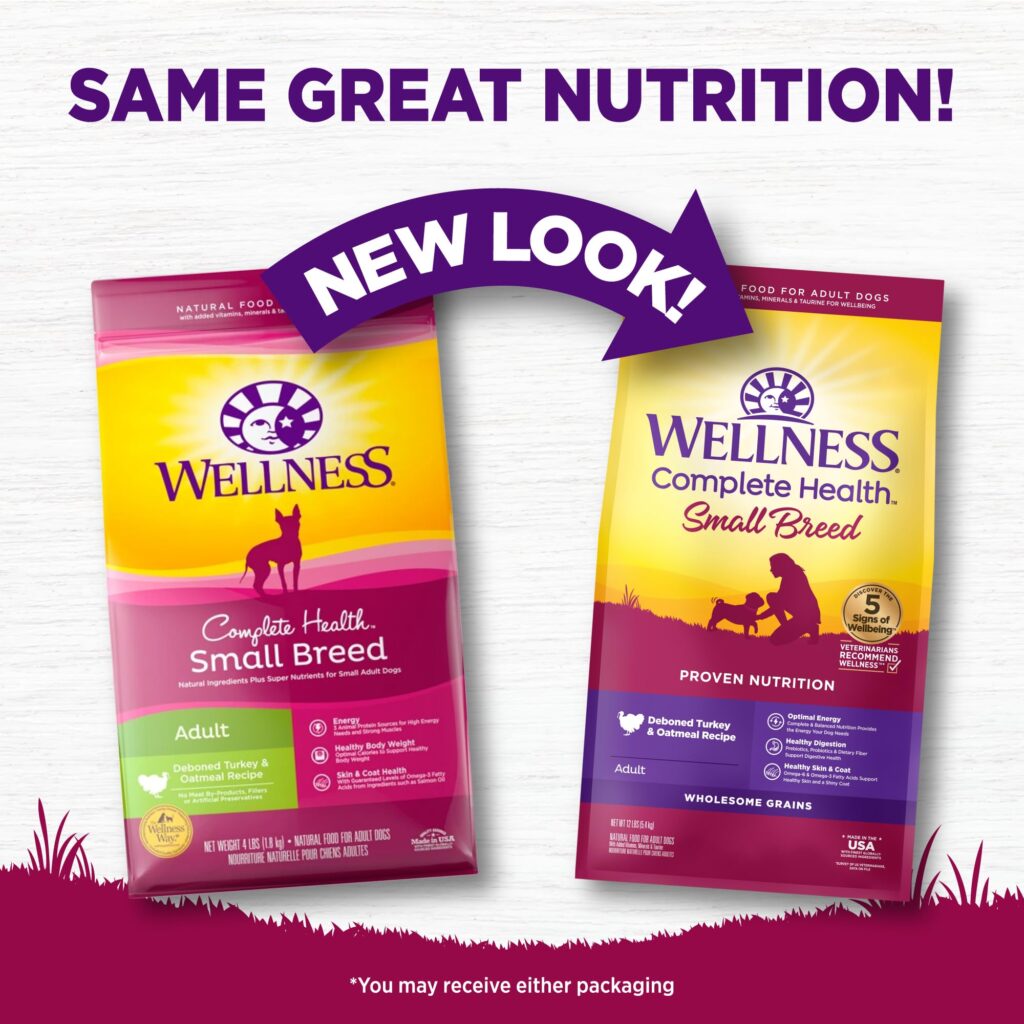 5 Best Nutritional Picks for Small Dog Breeds 5 Wellness Complete Health Small Breed Deboned Turkey & Oatmeal Recipe